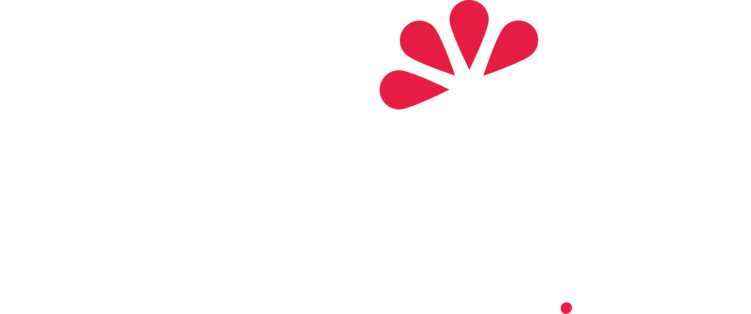 Zakito.Flow